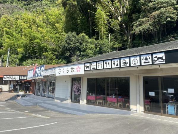 伊豆アート体験 さくら坂 